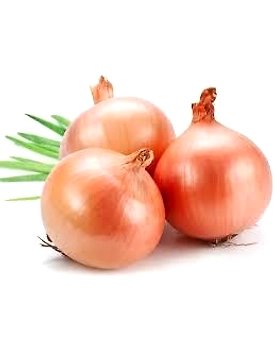 Premium Fresh Onions from Local Farms