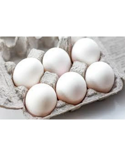 Eggs 6 Nos-12506