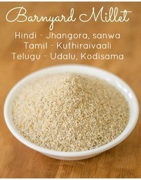 Kuthiraivali/Jhangora 500 gms