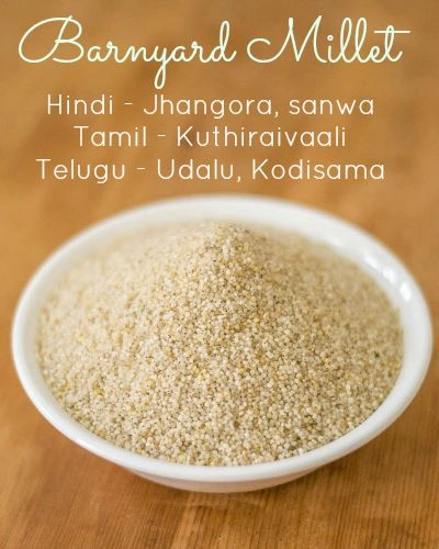 Kuthiraivali/Jhangora 500 gms-13005