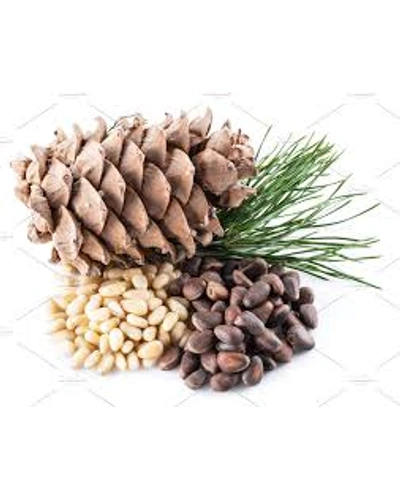 Pine Apple Seeds  without shell - Premium-14529