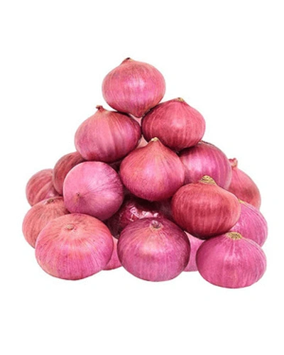 Onion-ONI1