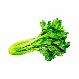celery fresh 100gm/fresh celery stalks