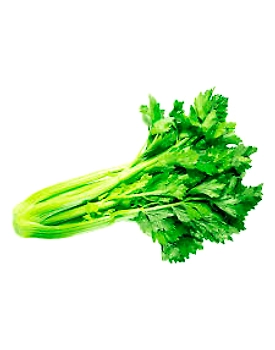 Celery fresh 100gm/fresh celery stalks