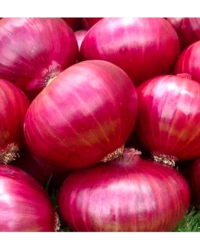 Fresh Big Size Onion 1 Kg - Premium Quality Kitchen Essential-BIGONION1KG
