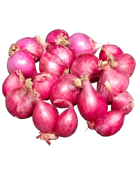 Premium Sambar Onion (Shallot) for Exquisite Culinary Creations