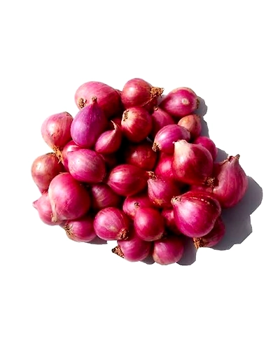 Premium Sambar Onion (Shallot) for Exquisite Culinary Creations-1