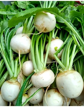 Fresh Turnip - Nutrient-Rich Versatile Root Vegetable250 gm