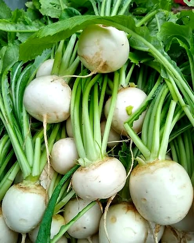 Fresh Turnip - Nutrient-Rich Versatile Root Vegetable250 gm-TURNIP250GM