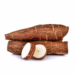 fresh cassava/tapioca root vegetables 250 gm - farm-to-table goodness