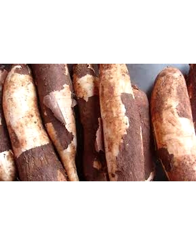 Fresh Cassava/Tapioca Root Vegetables 250 gm - Farm-to-Table Goodness-1