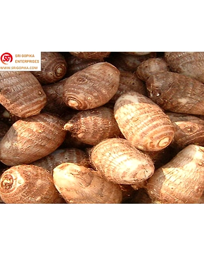 Fresh Taro/Seppakizhangu Vegetable250 gm - A Culinary Delight-1