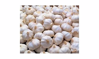 Fresh Garlic/Poondu/Lasun Whole Bulb 100gm - Premium Quality