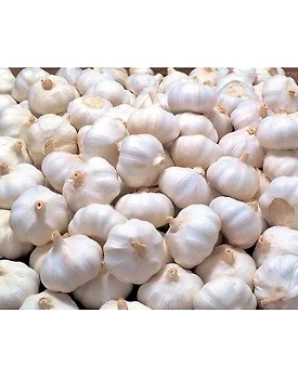 Fresh Garlic/Poondu/Lasun Whole Bulb 100gm - Premium Quality