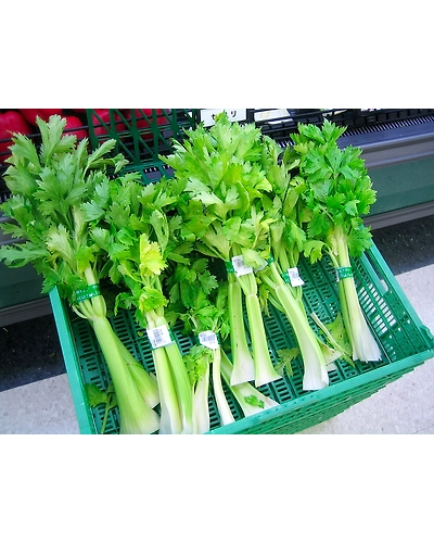Celery fresh 100gm/fresh celery stalks-1
