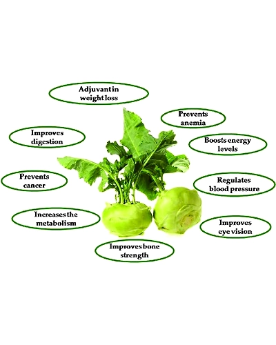Fresh Kohlrabi / Noo kal 500gm - Nutritious Stem Vegetable-2