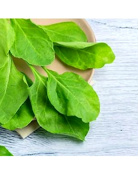 Fresh Spinach / Palak Green Vegetables 100g - Nutrient-Rich Superfood