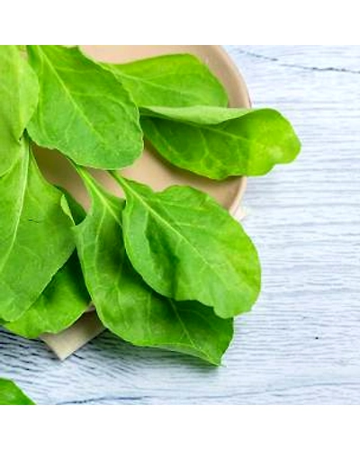 Fresh Spinach / Palak Green Vegetables 100g - Nutrient-Rich Superfood-Spinaglveg100gms