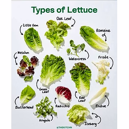 fresh lettuce 250gm - enhance your culinary creations