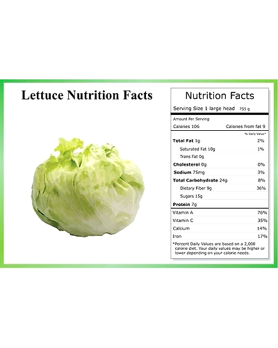 Fresh Lettuce 250gm - Enhance Your Culinary Creations-2