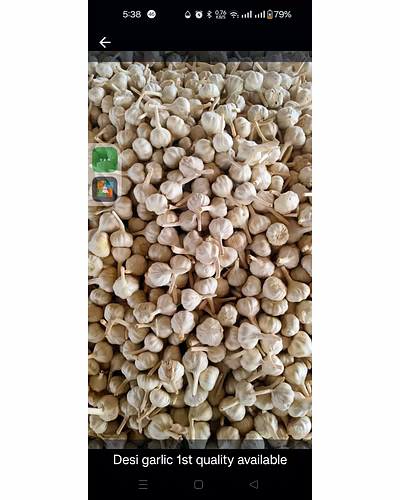Garlic bulbs-157846-1ae2fd99