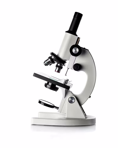 Microscope-10012