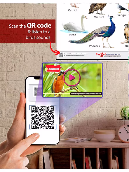 Birds Chart for Kids | My First Early Learning Types of Birds Educational Wall Charts and their Names at Home or School for Children | (72 X 50 cm) Poster – Picture Book