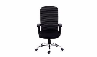 Kash Interio Ergonomic High Back Office Revolving Executive Chair with Adjustable Arms Zebra Black