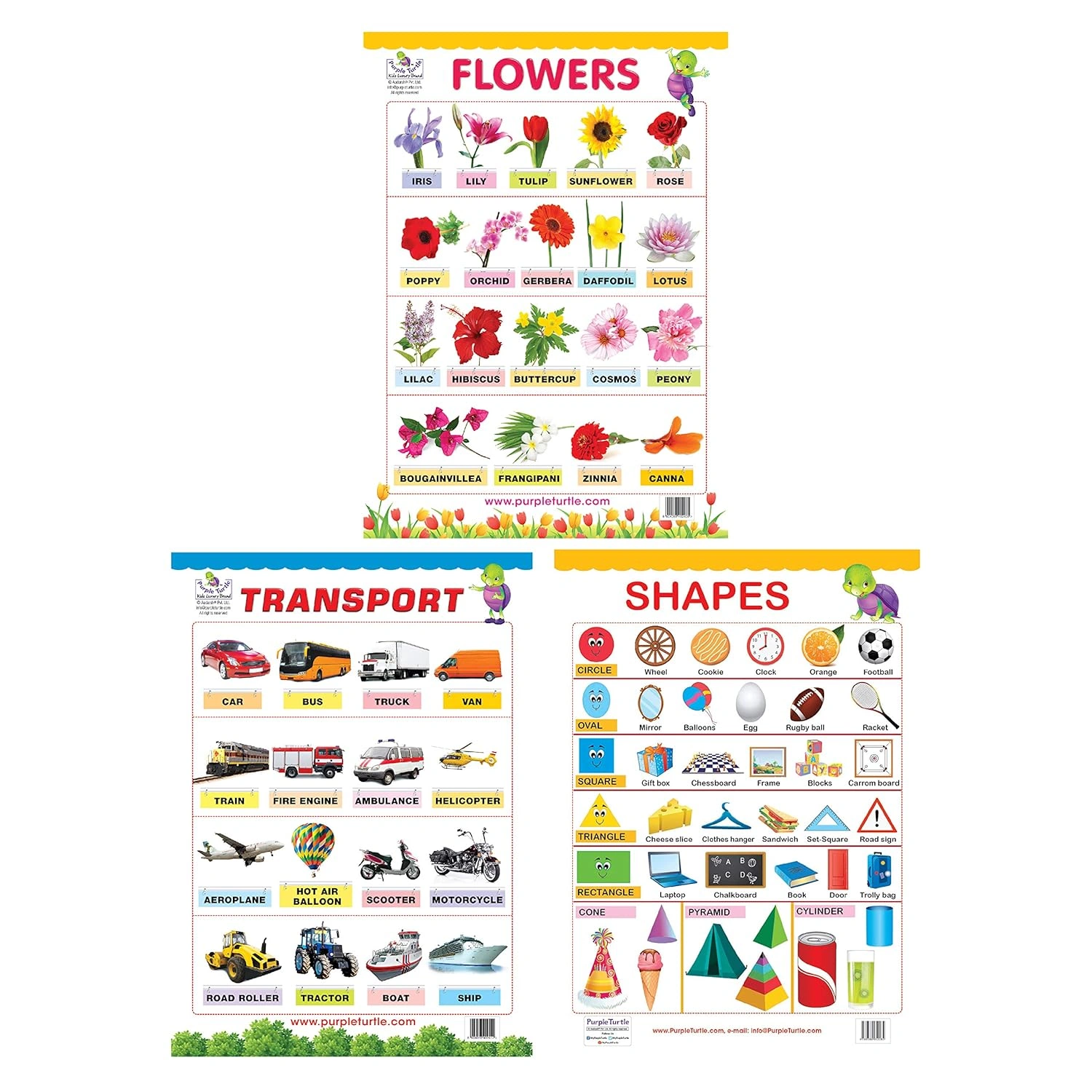 Flowers, Shapes, and Transport Charts for kids Wall Chart-RDSS100774