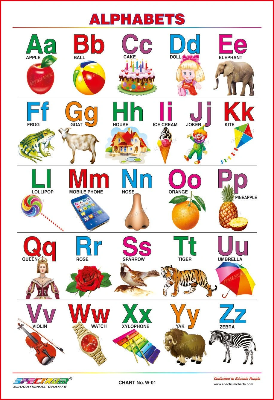 Spectrum Educational Mini Wall Chart (Set of 8) : Set 24 (English Alphabets, Numbers 1-100, Solar System, Multiplication Tables, Map of India, Animals, Birds &amp; Means of Communications) Wall Chart-1