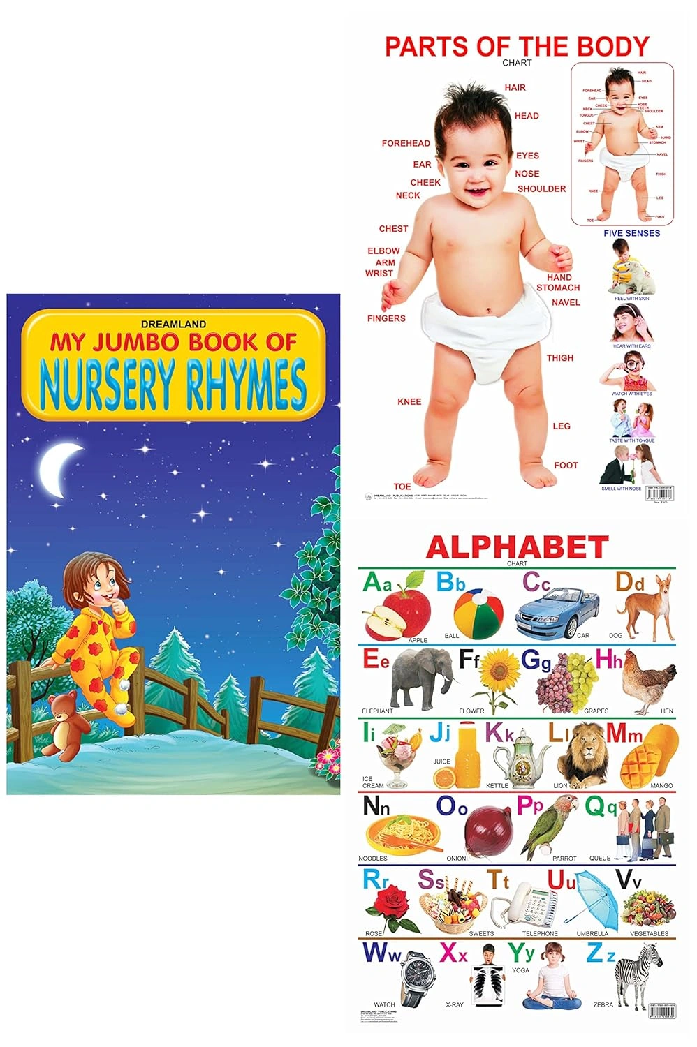 Alphabet Educational Wall Chart for Kids &amp; Nursery Rhymes Jumbo Picture Book-A3 Size Book with 31 Rhymes (My Jumbo Books) &amp; Parts of The Body Educational Wall Chart For Kids Product Bundle-RDSS100793