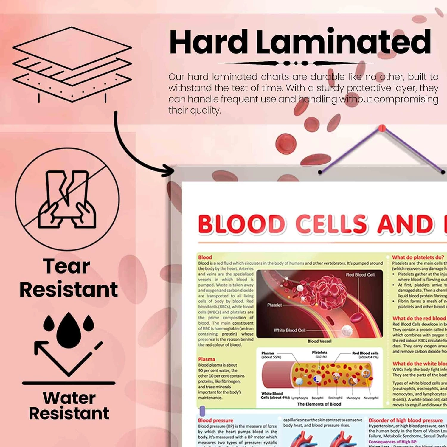 BLOOD CELLS AND PRESSURE CHART | Unraveling Blood Cells and Pressure: Comprehensive Anatomy Chart Hardcover-1