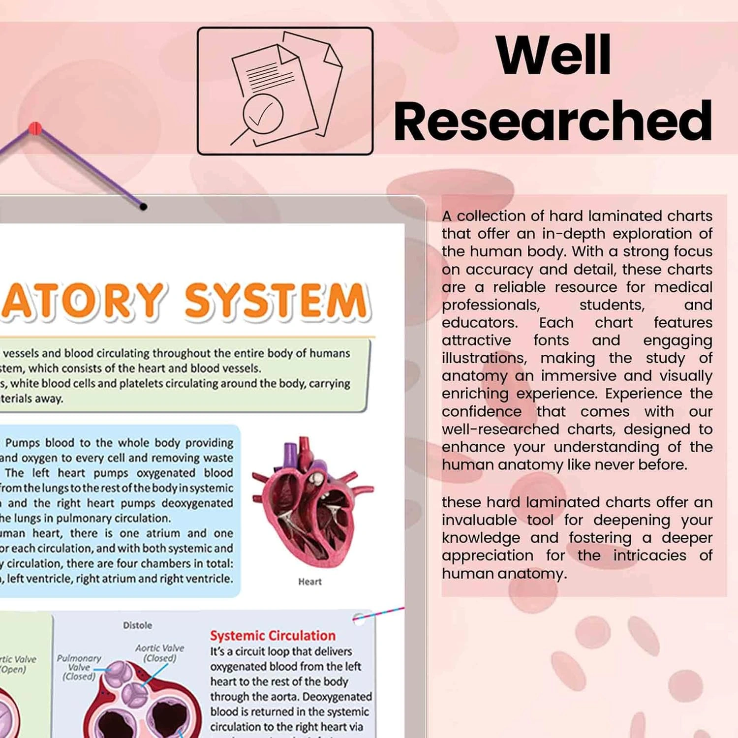 CIRCULATORY SYSTEM CHART | Unveiling Circulatory Pathways: Educational Circulatory System Chart Hardcover-3