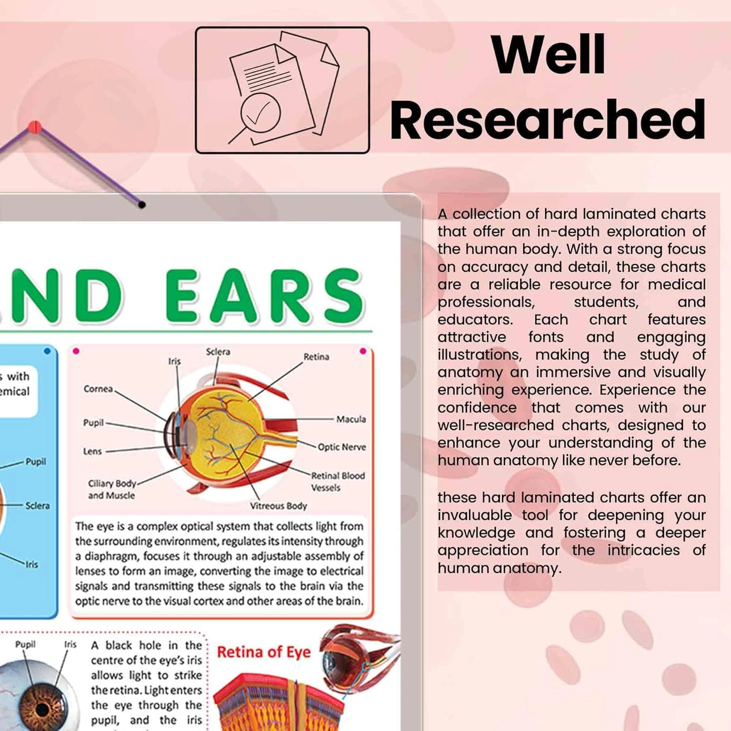 EYES AND EARS CHART | Insight into the Senses: Comprehensive Eyes and Ears Chart Hardcover-2