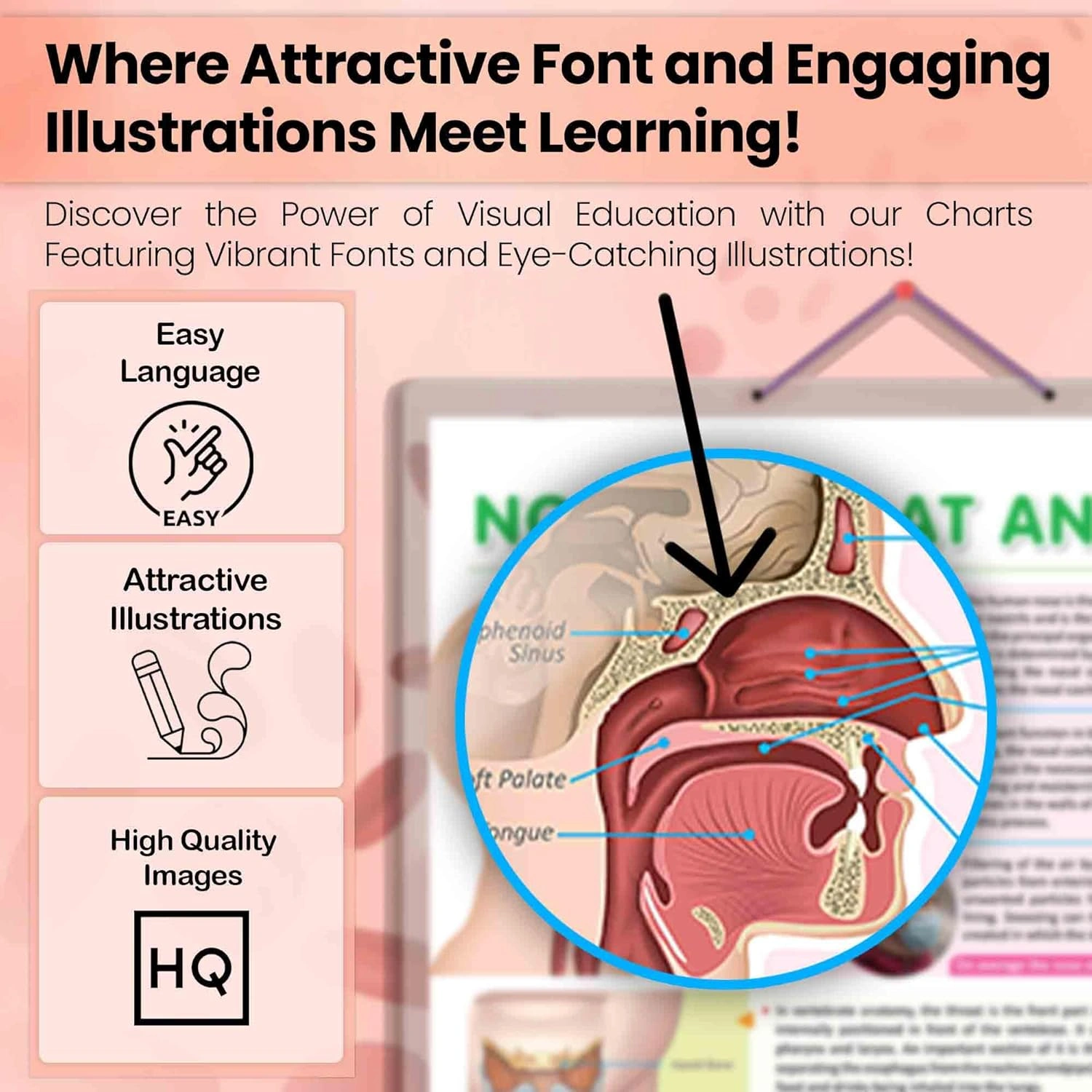 NOSE, THROAT AND NECK CHART | Exploring the Upper Respiratory System: Nose, Throat, and Neck Chart Hardcover-1