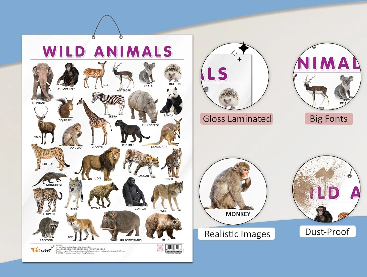 WILD ANIMALS CHART GLOSS LAMINATED |Roar into the Jungle: Engage Young Minds with a Vibrant Gloss Laminated Chart Hardcover-2