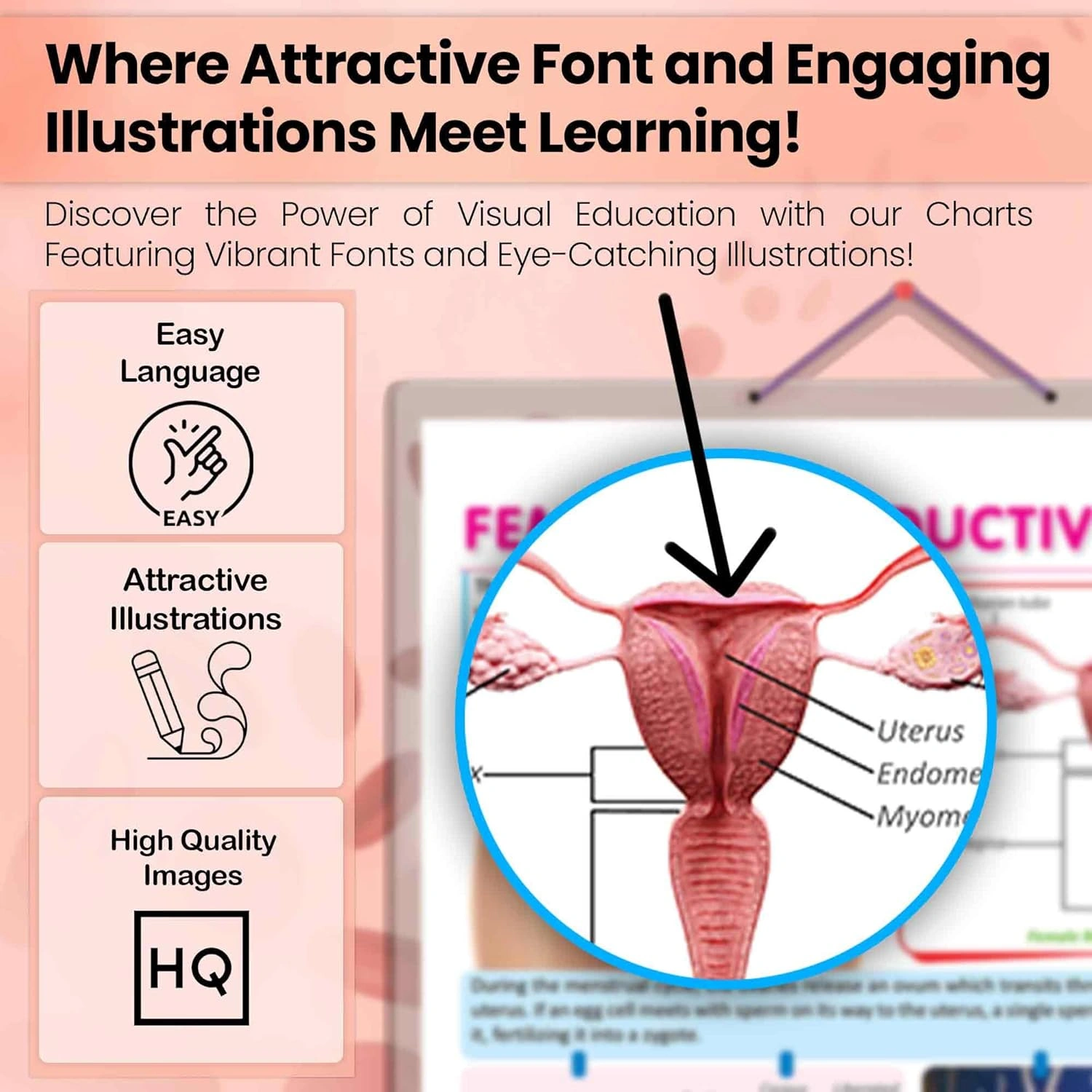 FEMALE REPRODUCTIVE SYSTEM CHART | Understanding Female Reproductive Anatomy: In-Depth Chart Hardcover-2