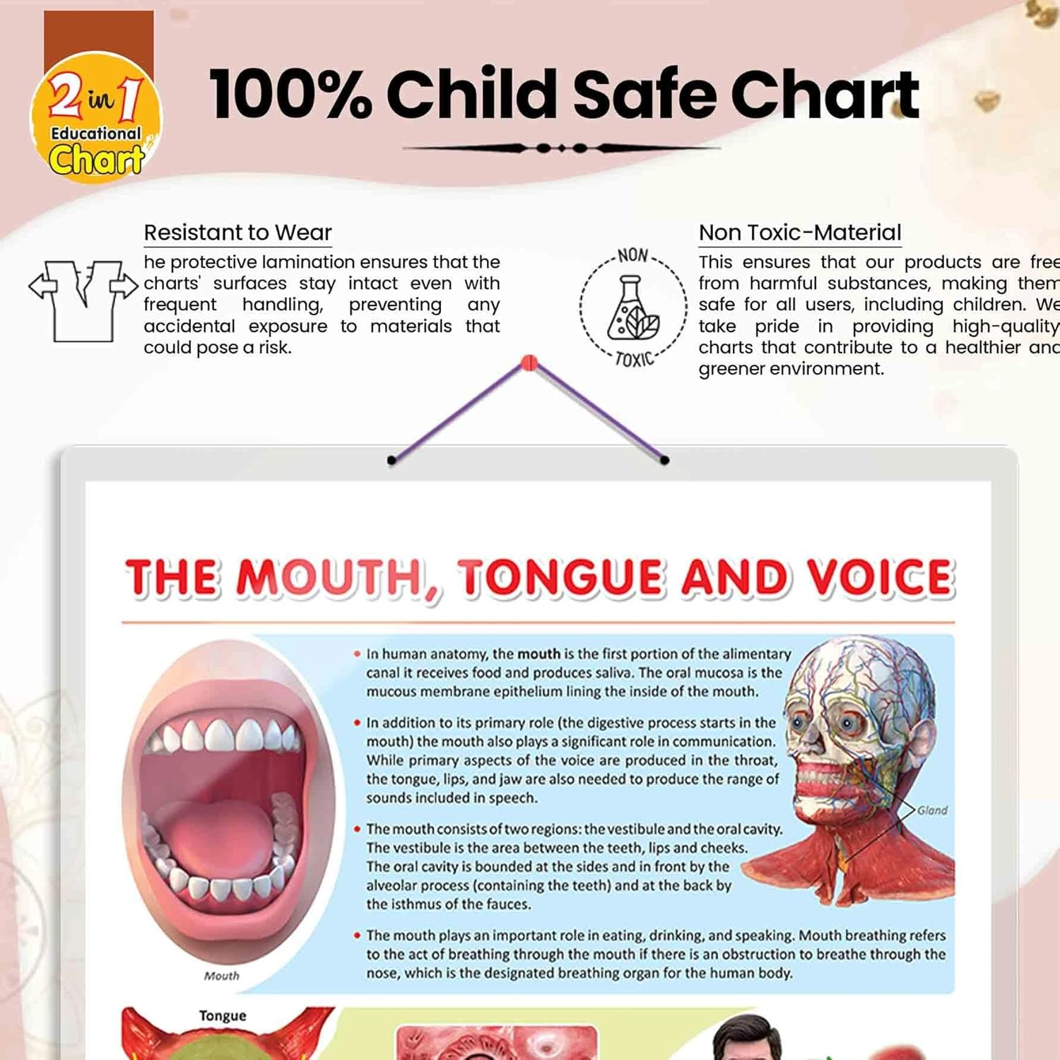 THE MOUTH, TONGUE AND VOICE CHART | The Art of Communication: Interactive Mouth, Tongue, and Voice Poster Hardcover-4