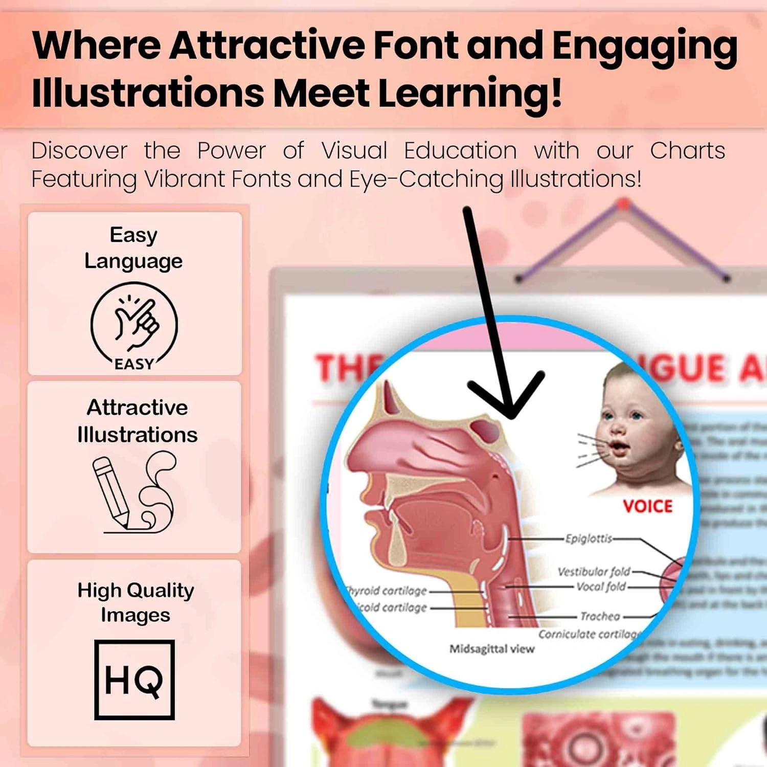 THE MOUTH, TONGUE AND VOICE CHART | The Art of Communication: Interactive Mouth, Tongue, and Voice Poster Hardcover-3