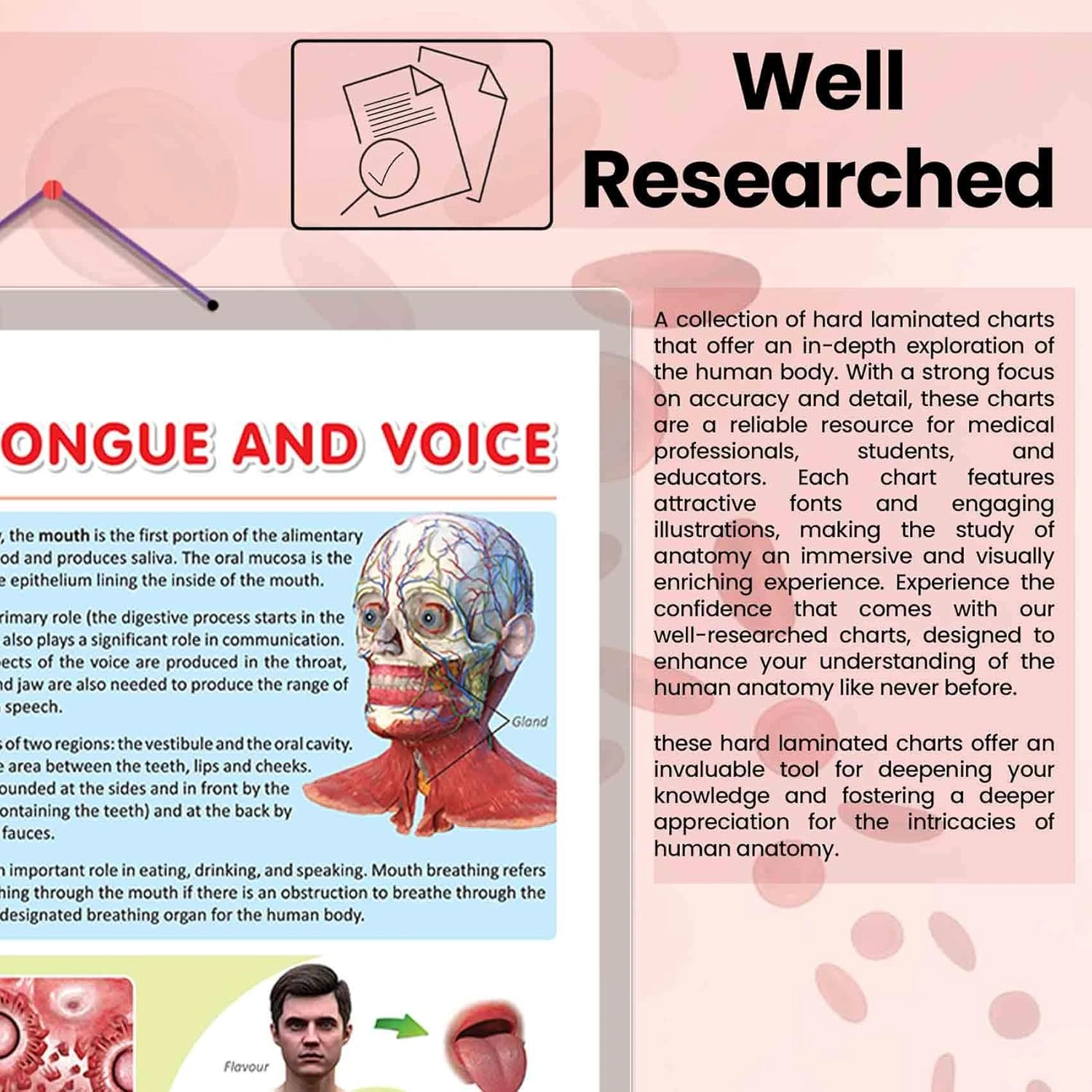 THE MOUTH, TONGUE AND VOICE CHART | The Art of Communication: Interactive Mouth, Tongue, and Voice Poster Hardcover-2