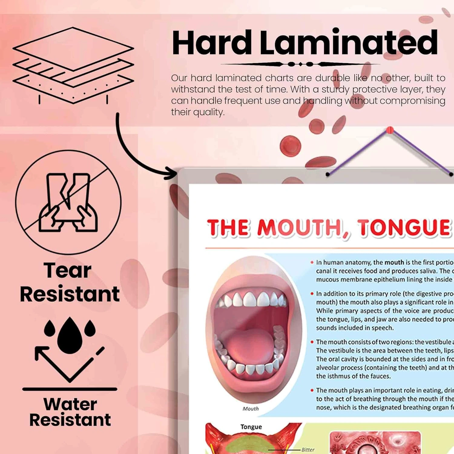 THE MOUTH, TONGUE AND VOICE CHART | The Art of Communication: Interactive Mouth, Tongue, and Voice Poster Hardcover-1