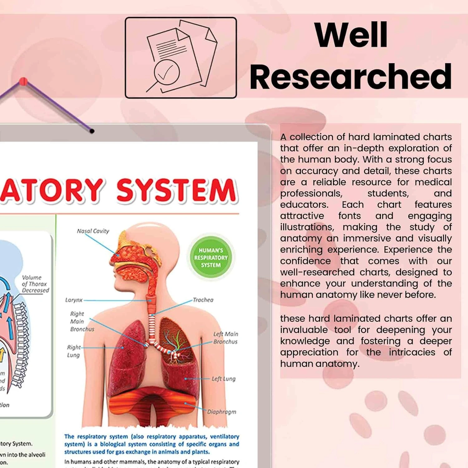 THE RESPIRATORY SYSTEM CHART | The Breath of Life: Exploring the Respiratory System Chart Hardcover-4