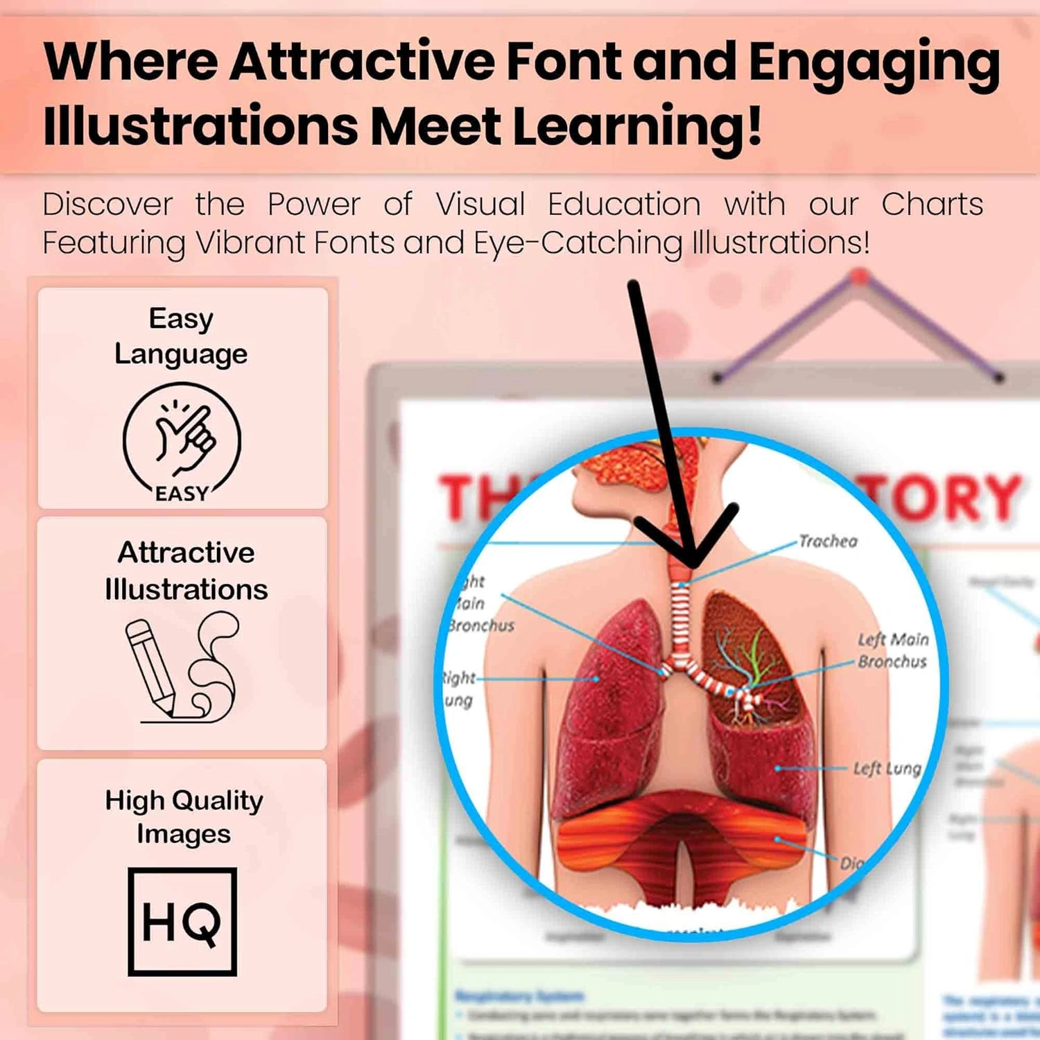 THE RESPIRATORY SYSTEM CHART | The Breath of Life: Exploring the Respiratory System Chart Hardcover-2