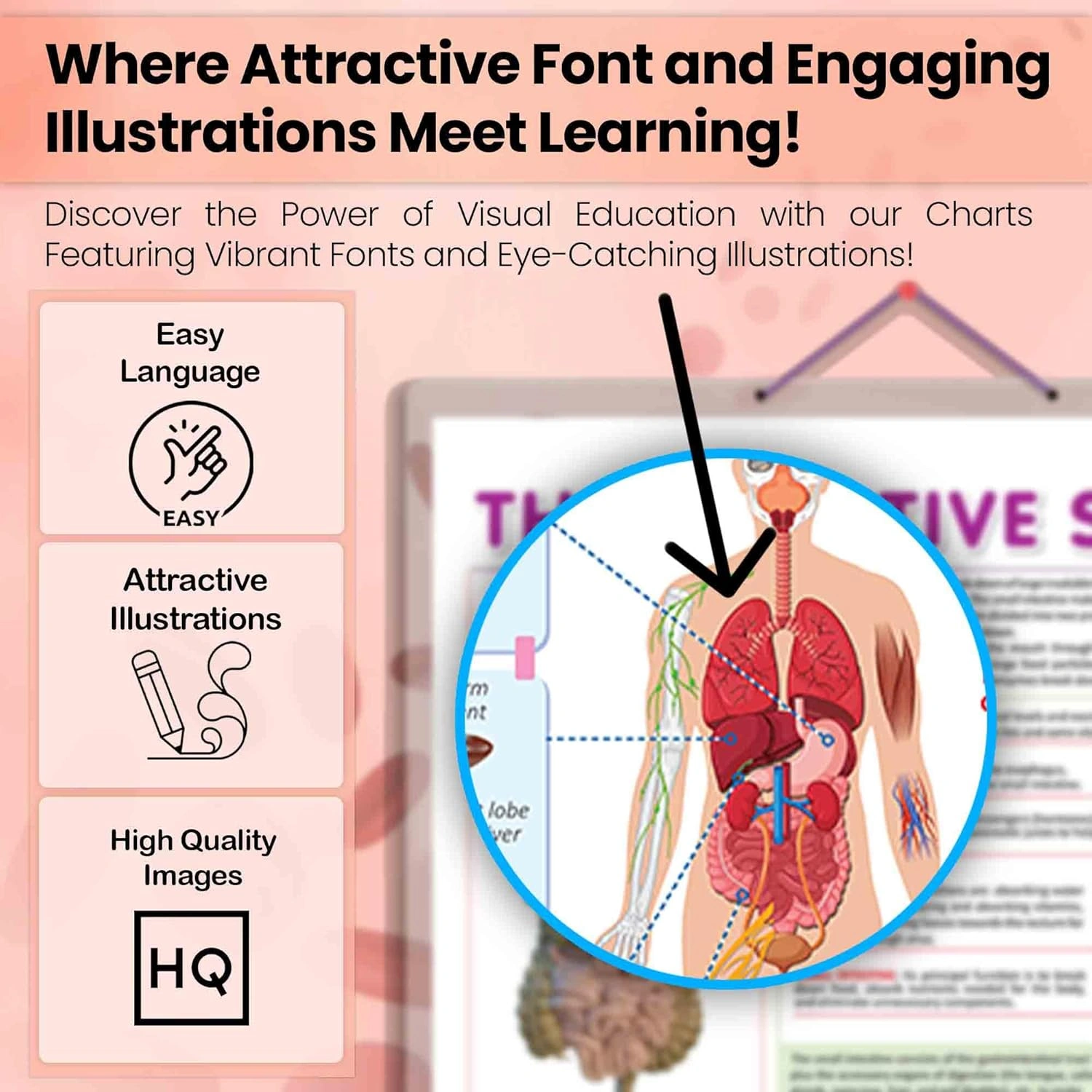 THE DIGESTIVE SYSTEM CHART | Journey through the Digestive System: Comprehensive Anatomy Chart Hardcover-2