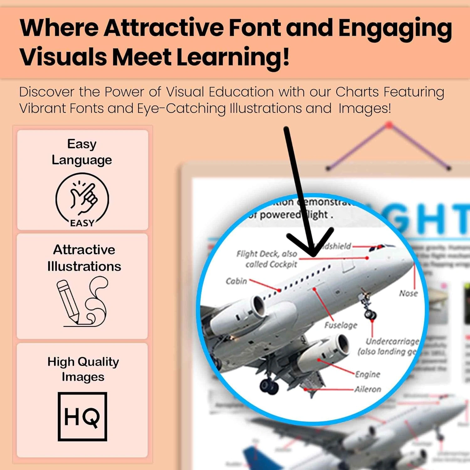 FLIGHT CHART | Navigating the Skies: Educational Flight Path Chart Hardcover-4