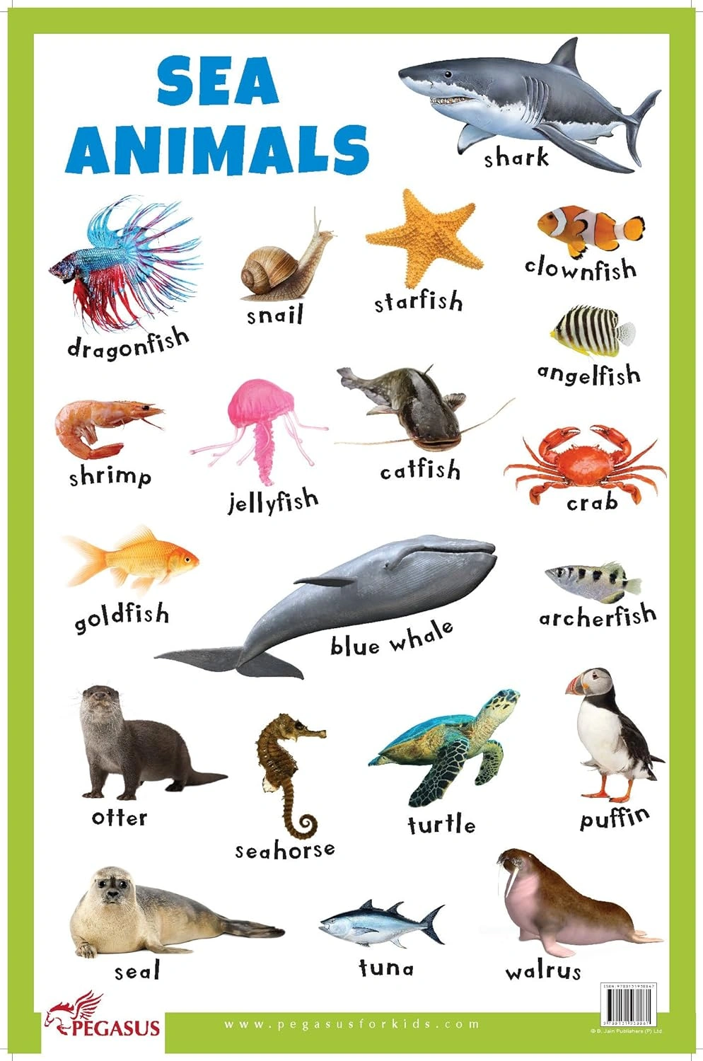 Sea Animals - Thick Laminated Primary Chart+Wild Animals - Thick Laminated Primary Chart+Domestic Animals - Thick Laminated Primary Chart (Set Of 3 Books) Product Bundle-2