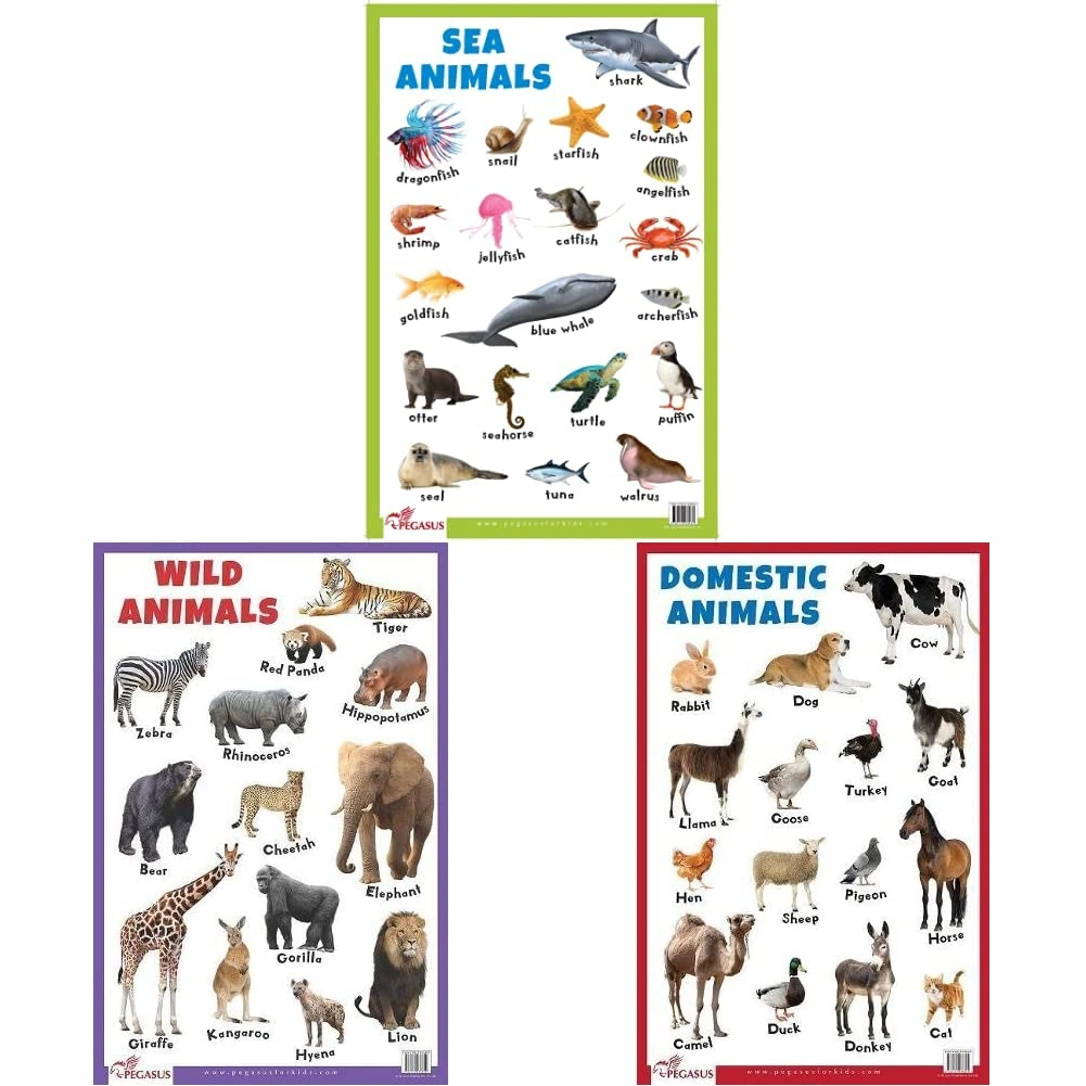 Sea Animals - Thick Laminated Primary Chart+Wild Animals - Thick Laminated Primary Chart+Domestic Animals - Thick Laminated Primary Chart (Set Of 3 Books) Product Bundle-RDSS100858