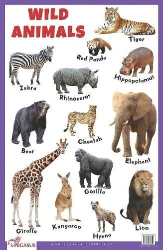 Sea Animals - Thick Laminated Primary Chart+Wild Animals - Thick Laminated Primary Chart+Domestic Animals - Thick Laminated Primary Chart (Set Of 3 Books) Product Bundle-1