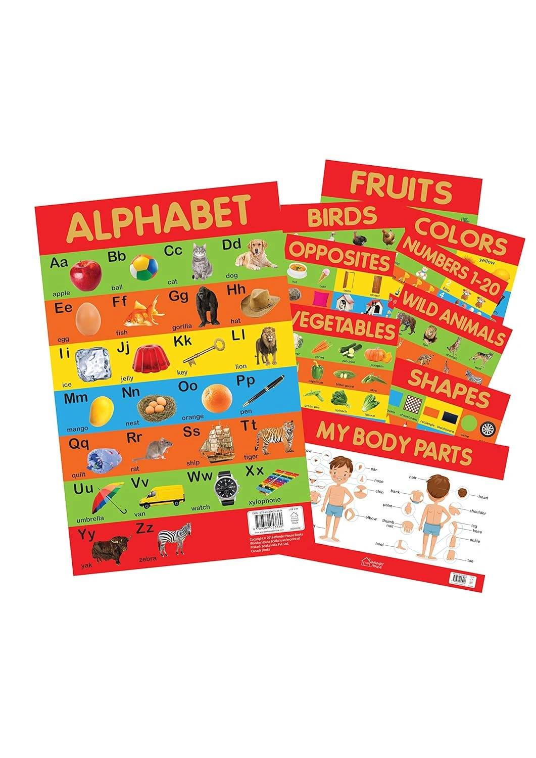 Early Learning Educational 10 Charts Boxset for Kids &amp; Zoo - Illustrated Book On Zoo Animals (Let's Talk Series) Product Bundle-4