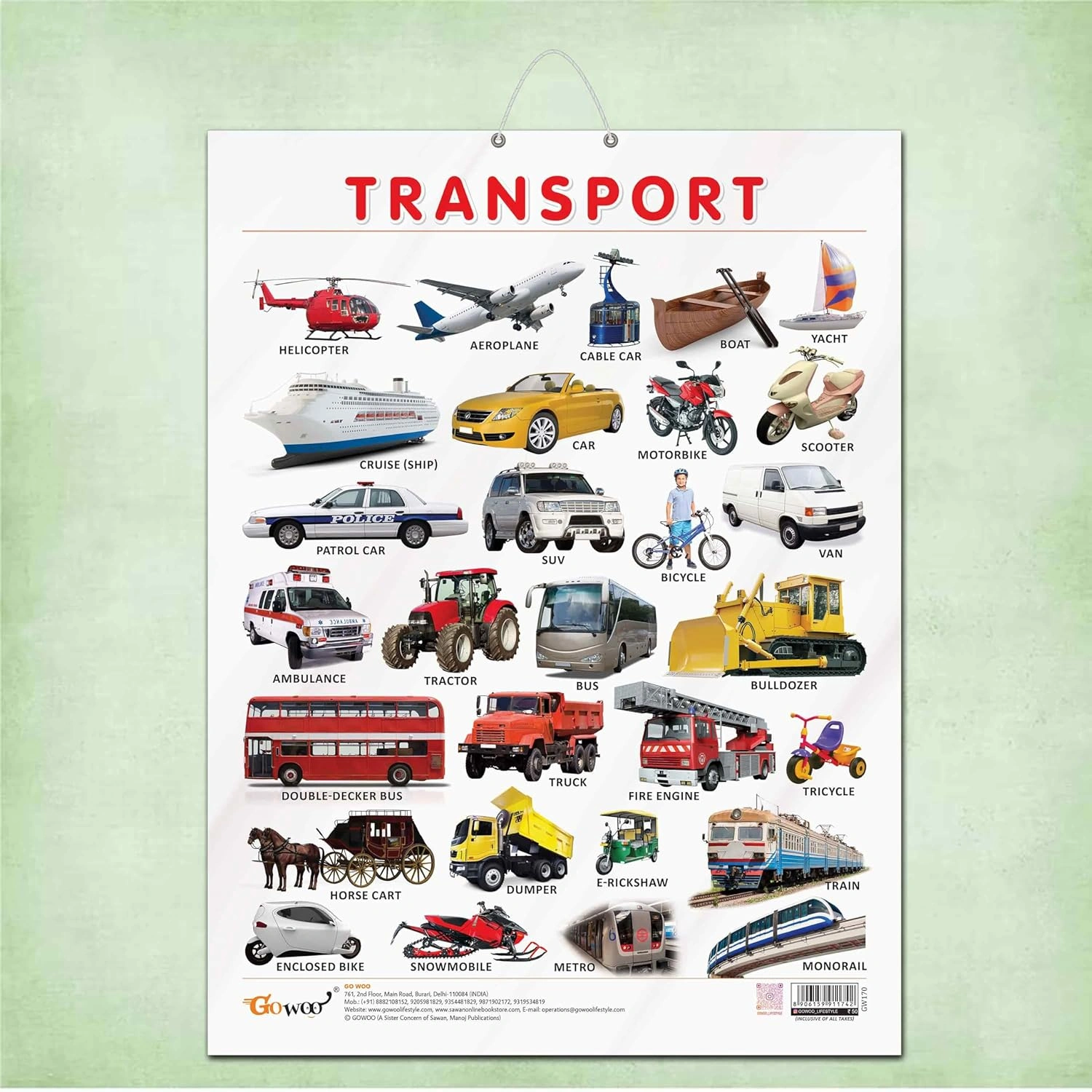 TRANSPORT CHART GLOSS LAMINATED |Discovering Vehicles: Laminated Guide to Transportation Hardcover-RDSSS100867